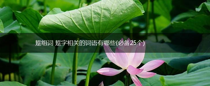 踅组词 踅字相关的词语有哪些(必备25个),第1张