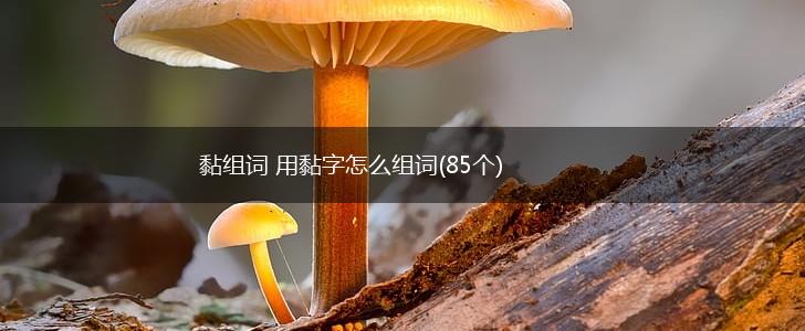 黏组词 用黏字怎么组词(85个),第1张