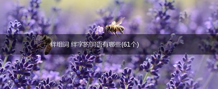 绊组词 绊字的词语有哪些(61个),第1张