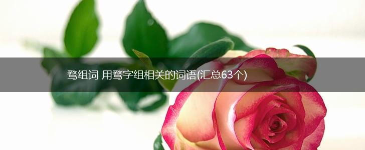 骛组词 用骛字组相关的词语(汇总63个),第1张