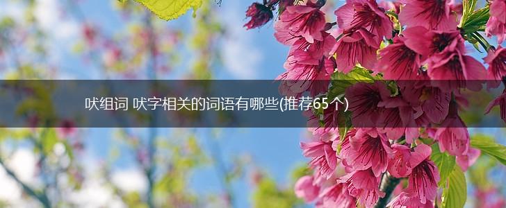 吠组词 吠字相关的词语有哪些(推荐65个),第1张