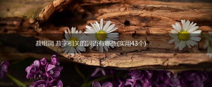 菽组词 菽字相关的词语有哪些(实用43个),第1张 菽组词 菽字相关的词语有哪些(实用43个),第1张
